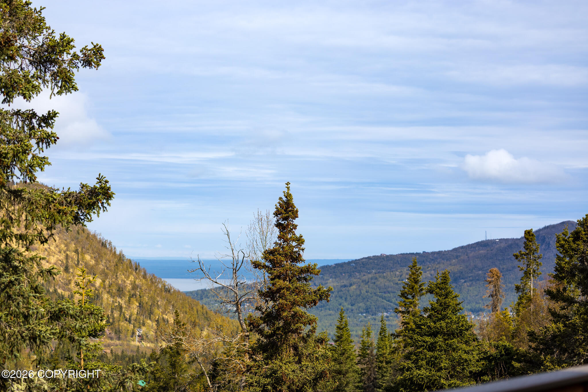 4320 Cotton Grass Drive Property Photo 80