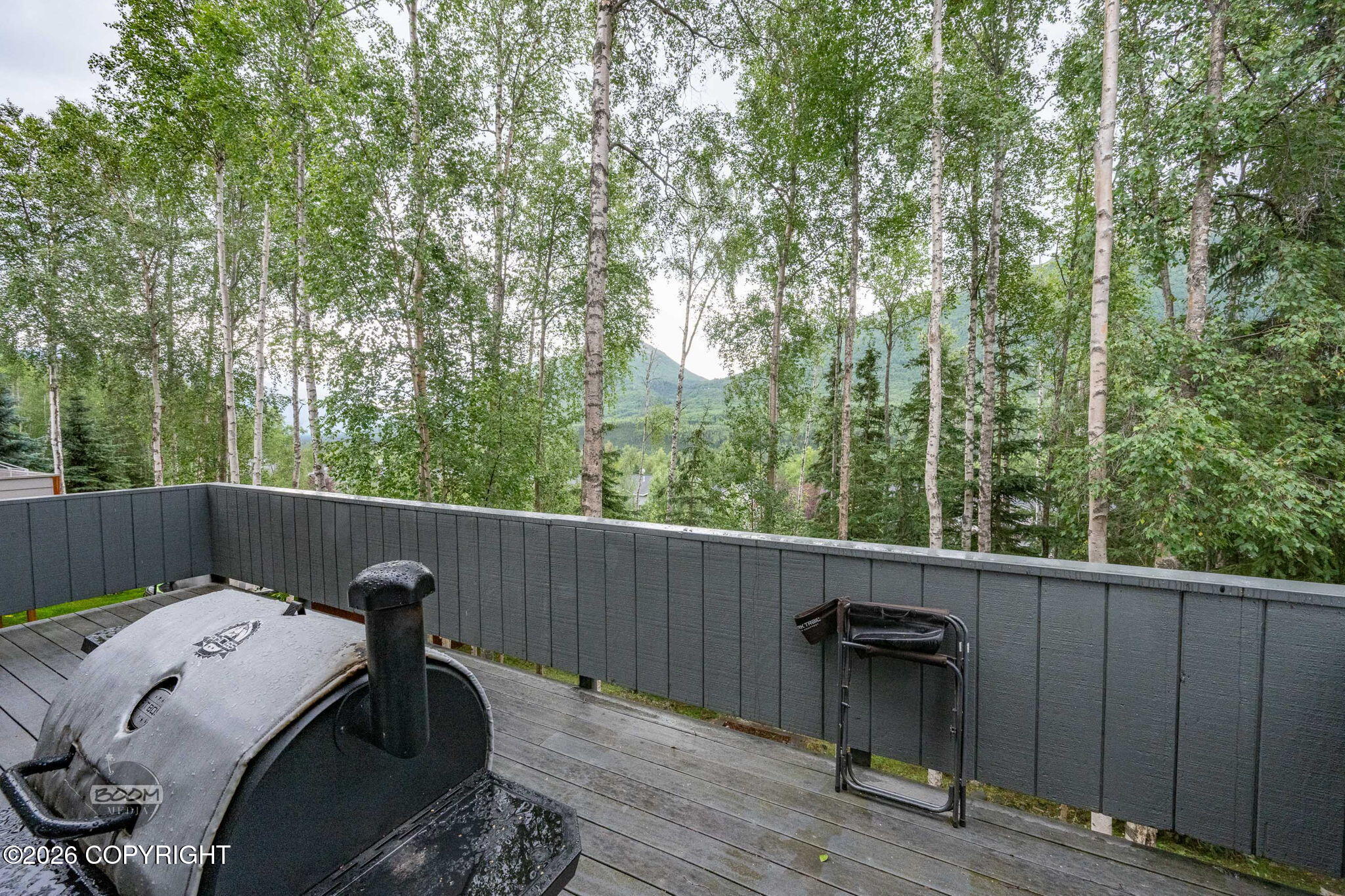20832 Icefall Drive Property Photo 68