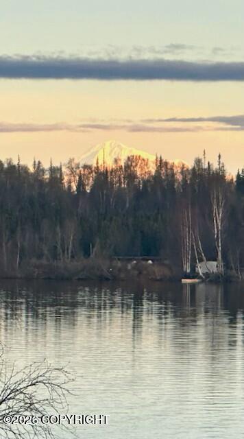 21929 Flat Lake Island Circle Property Photo 58