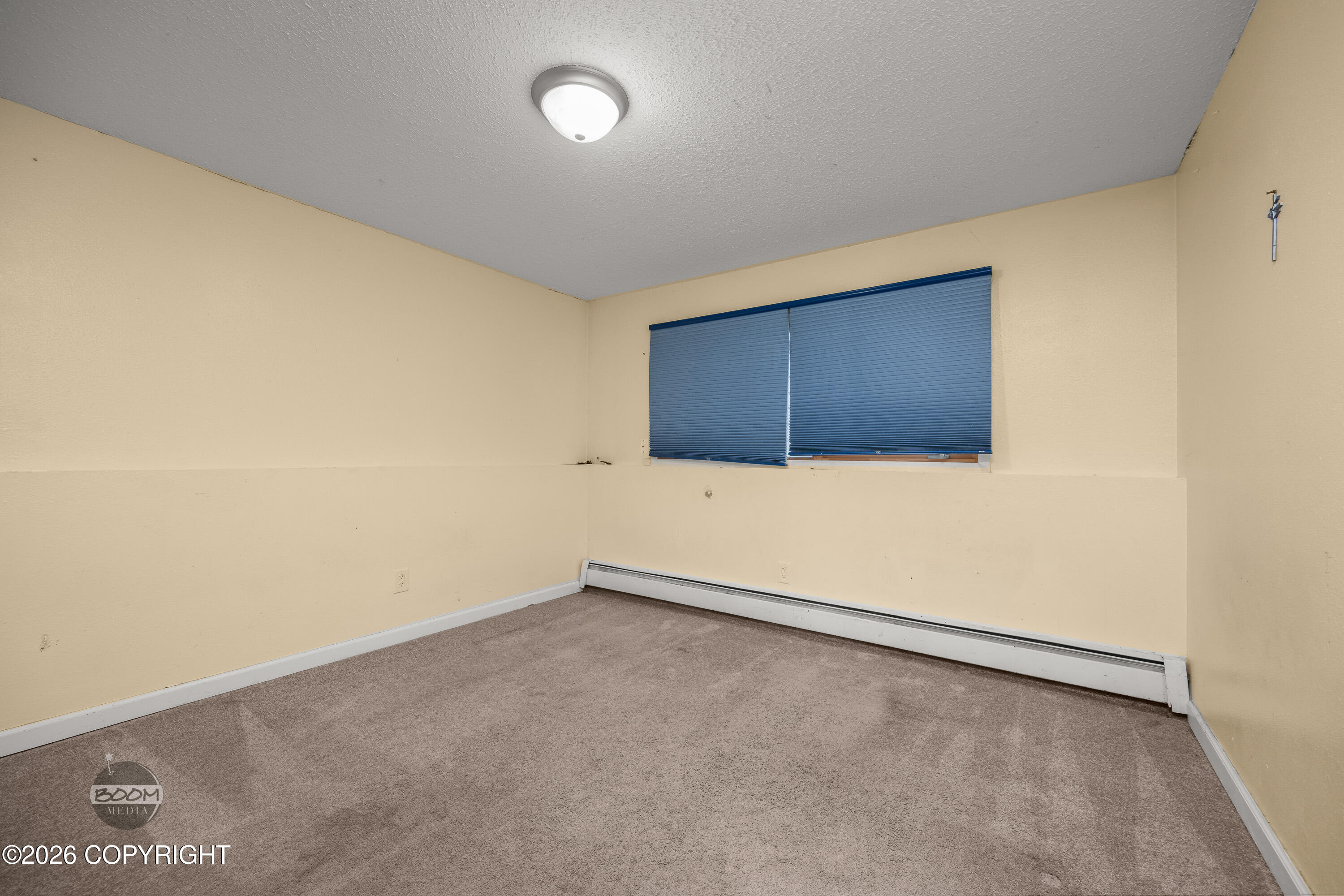890 Lancaster Drive Property Photo 36