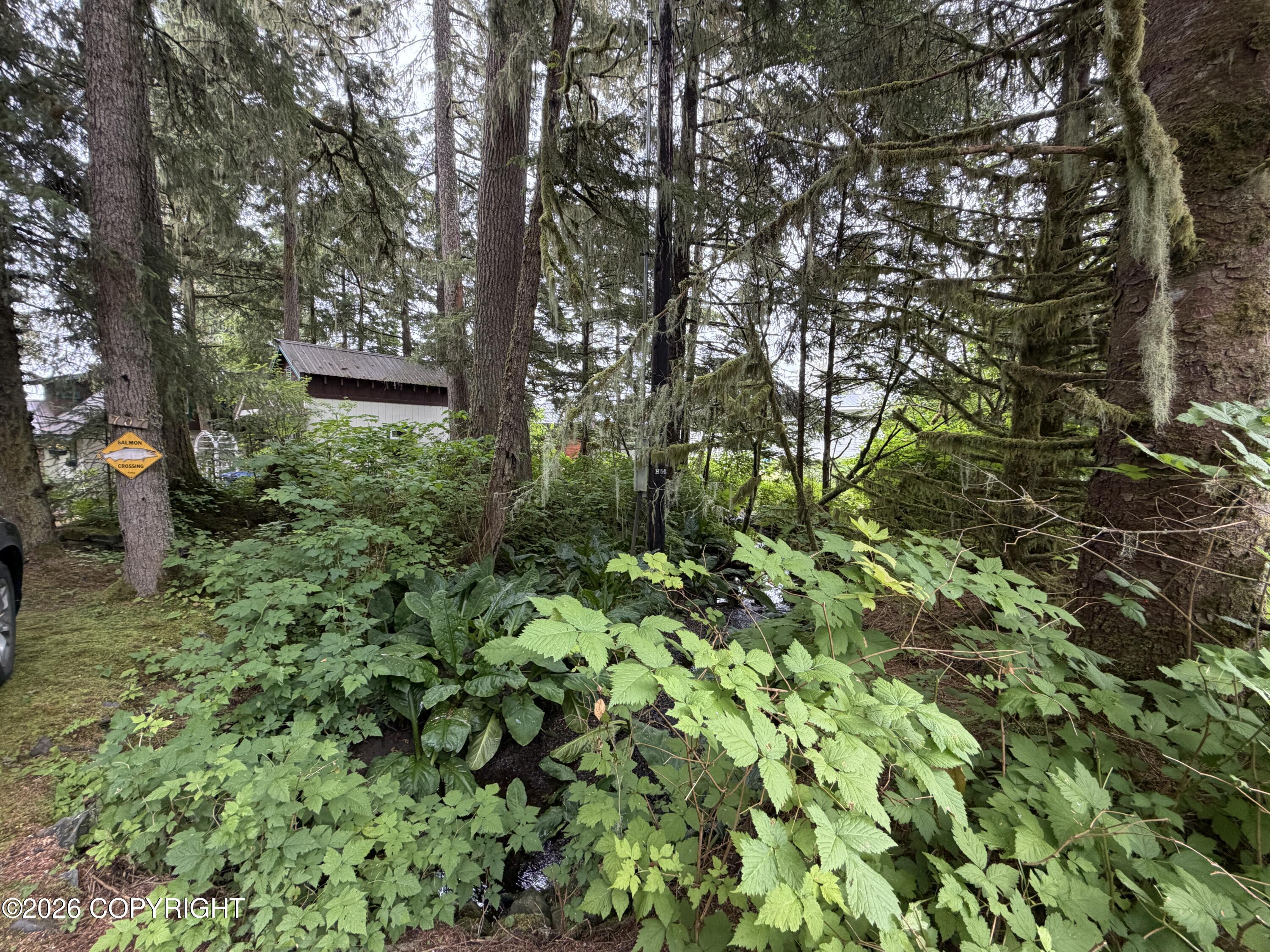 707-b Sandy Beach Road Property Photo 45