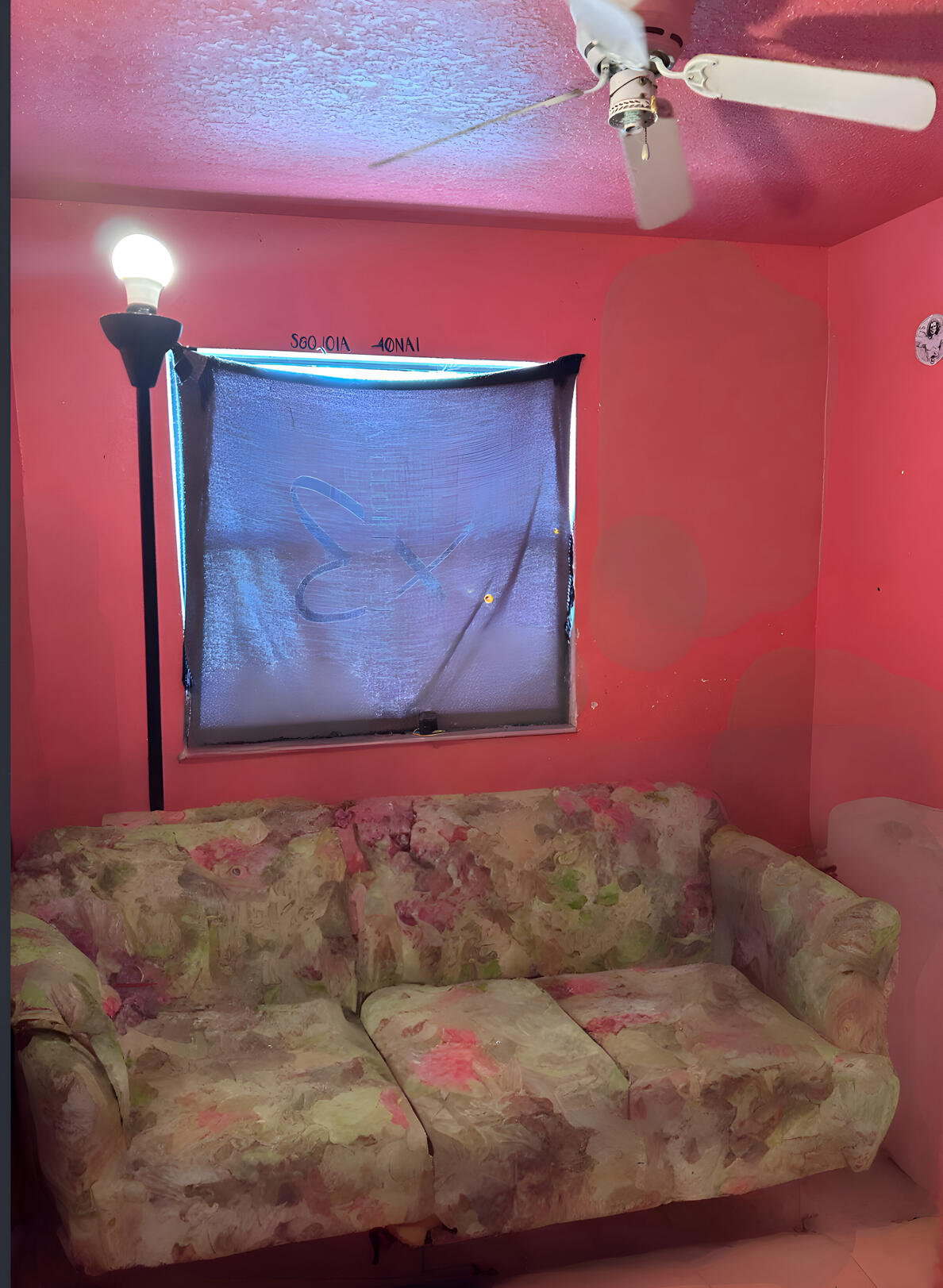 523 B Way Property Photo 4