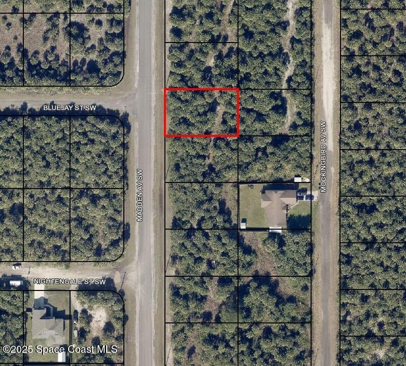 3313 Madden Avenue SW Property Photo 1