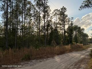 880 Still Road Property Photo 3
