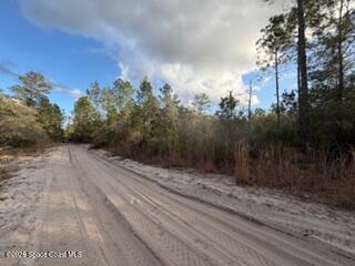 880 Still Road Property Photo 5