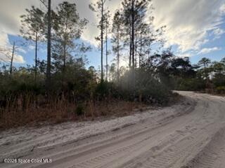 880 Still Road Property Photo 6