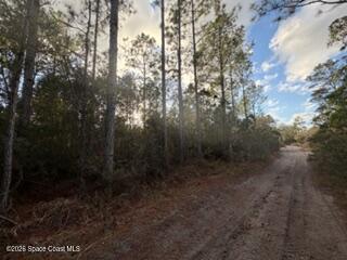 880 Still Road Property Photo 7