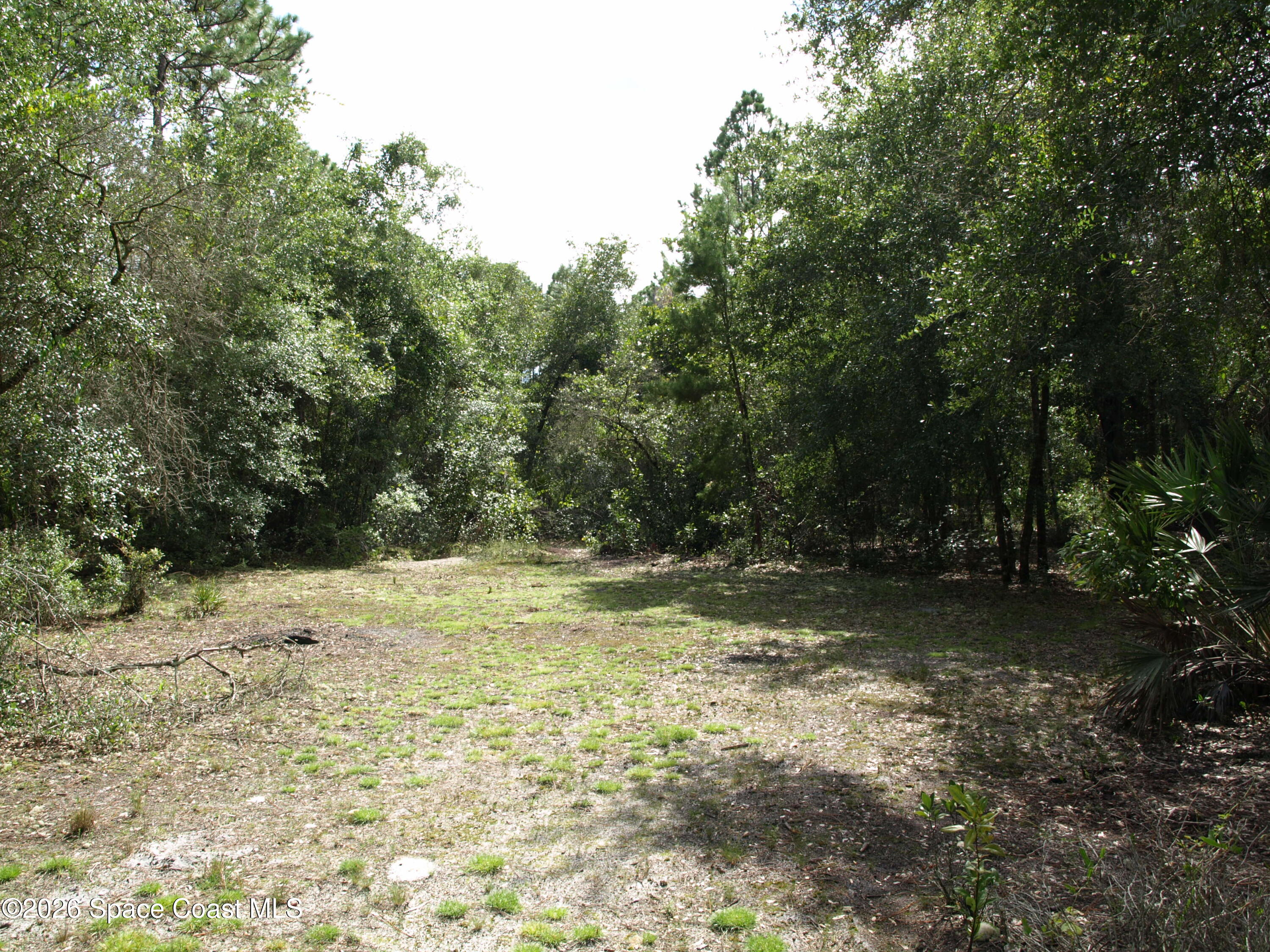 181 Lakeway Drive Property Photo 5