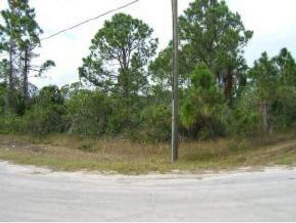 501 Lamon St & Farber Ave Property Photo 4