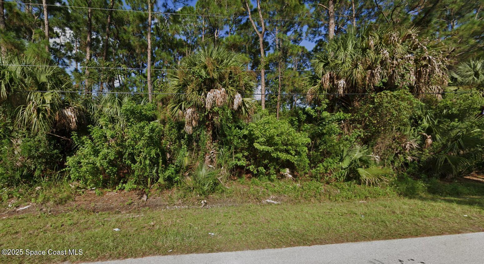 1061 Harlingen Road SW Property Photo 1