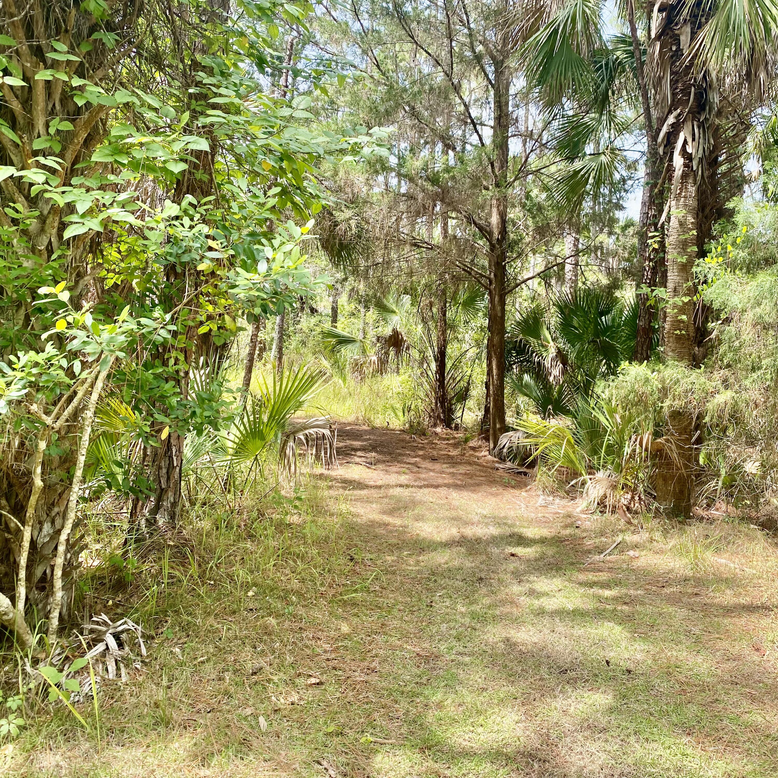 6776 Keydeer Avenue Property Photo 13