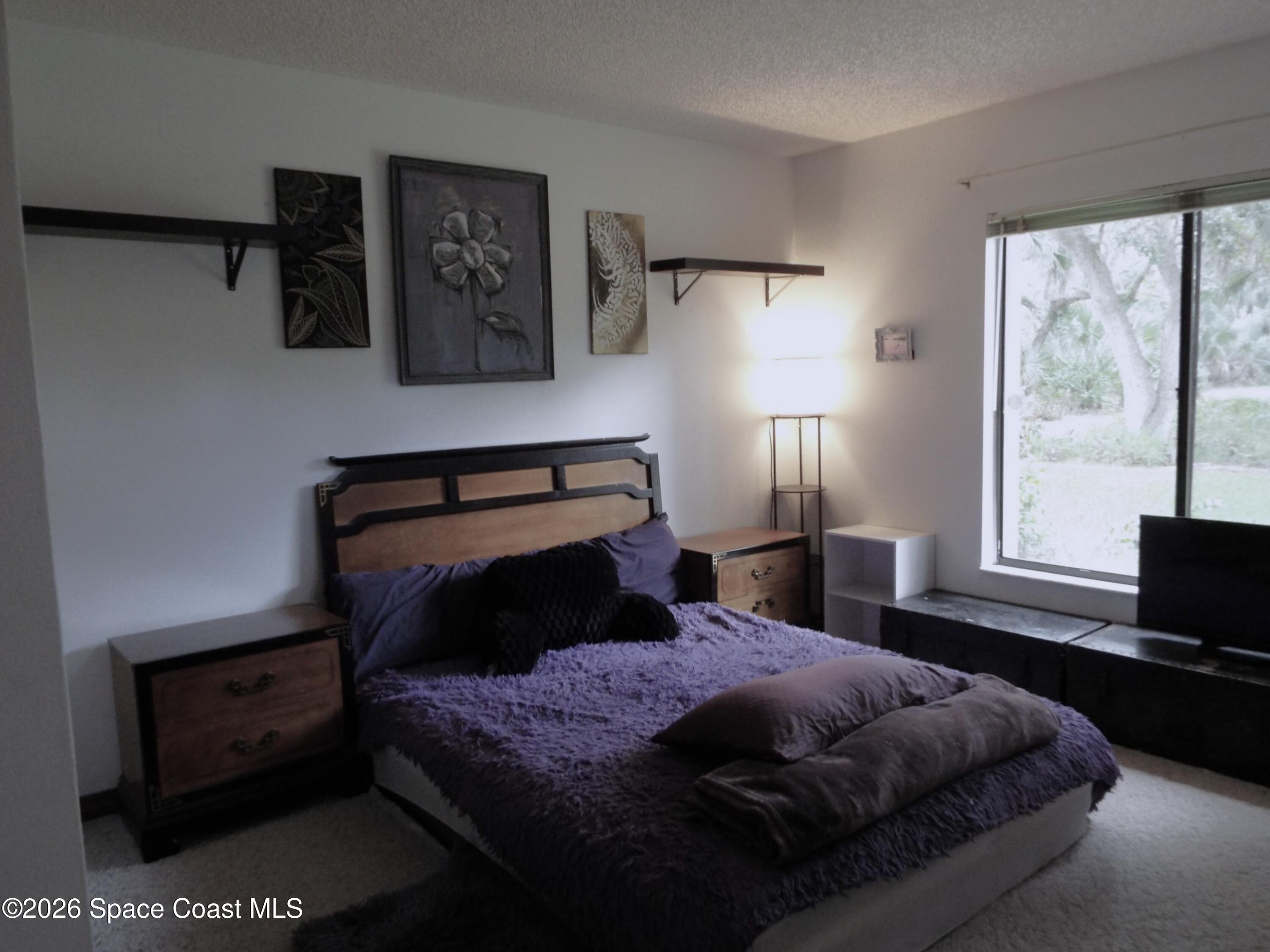 685 Carambola Drive Property Photo 16