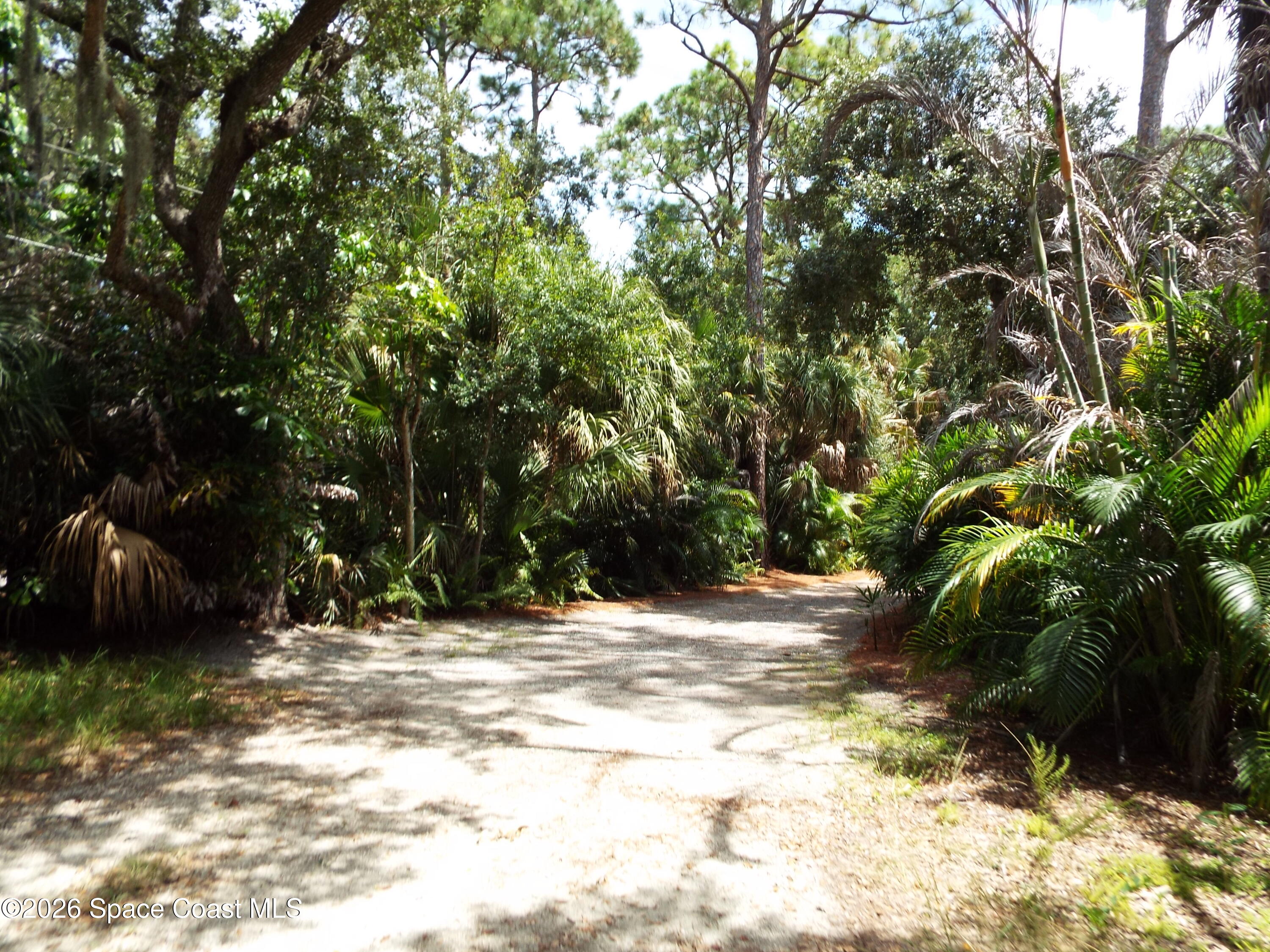 685 Carambola Drive Property Photo 25