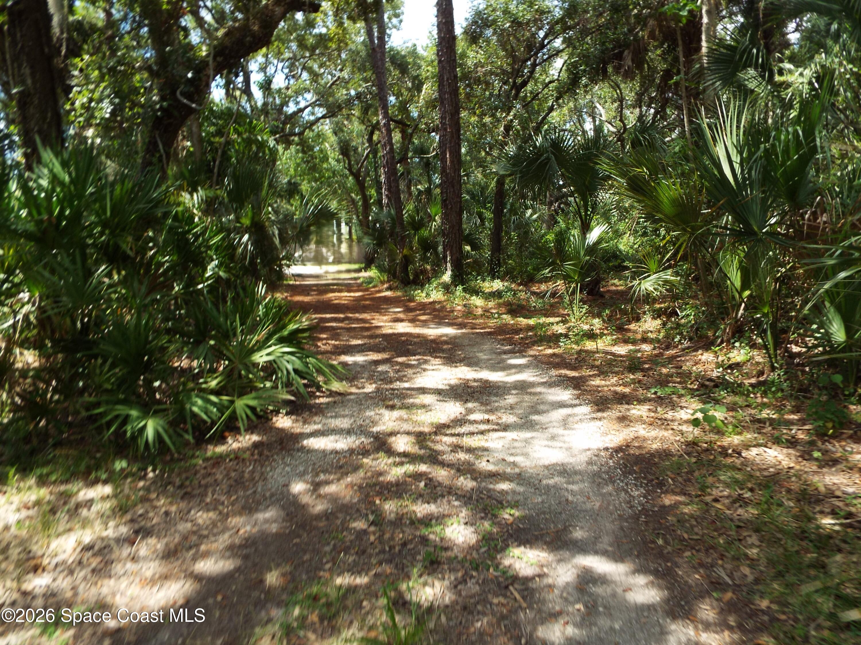 685 Carambola Drive Property Photo 28
