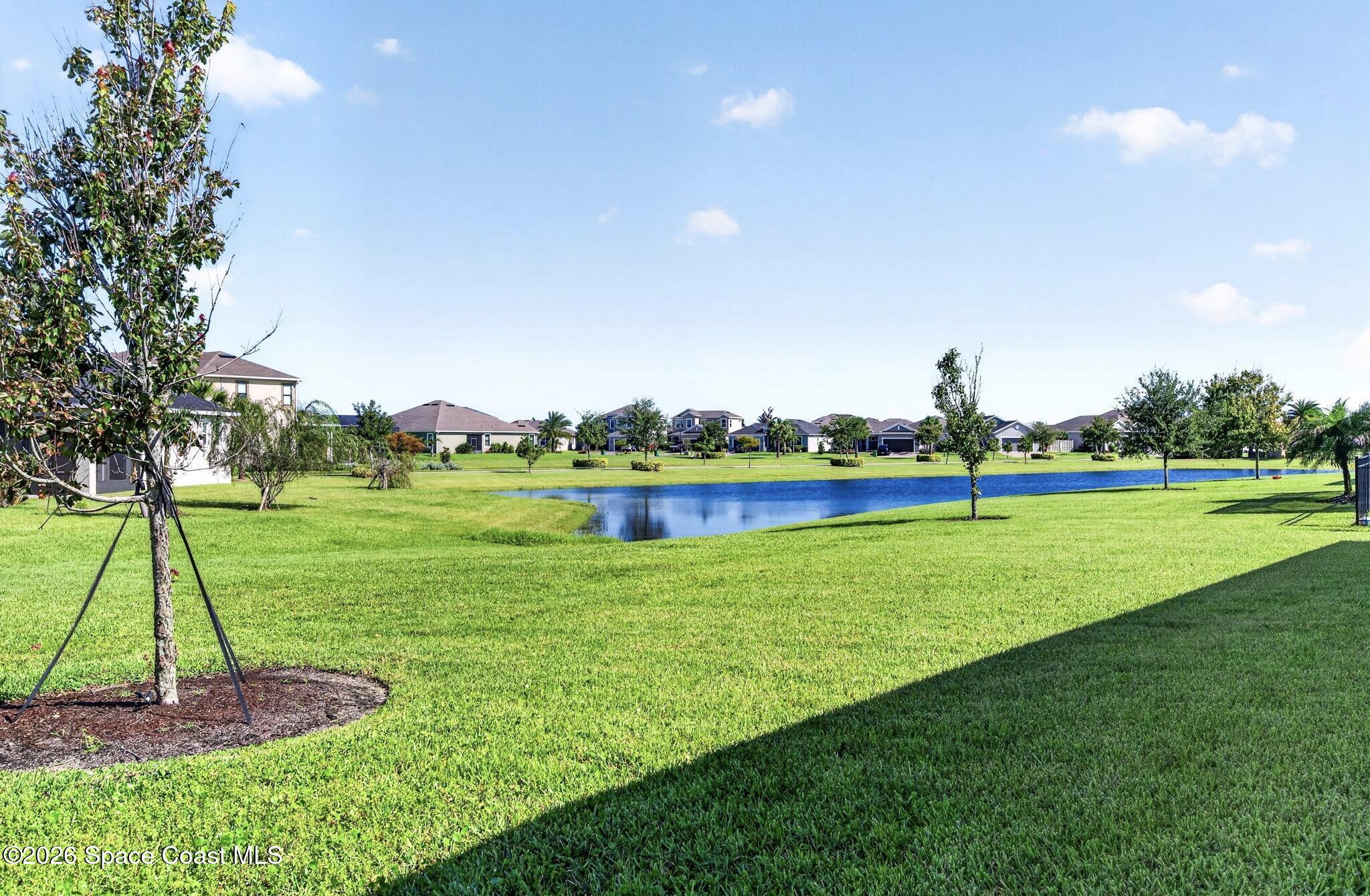 3008 Ribbon Grass Drive Property Photo 6