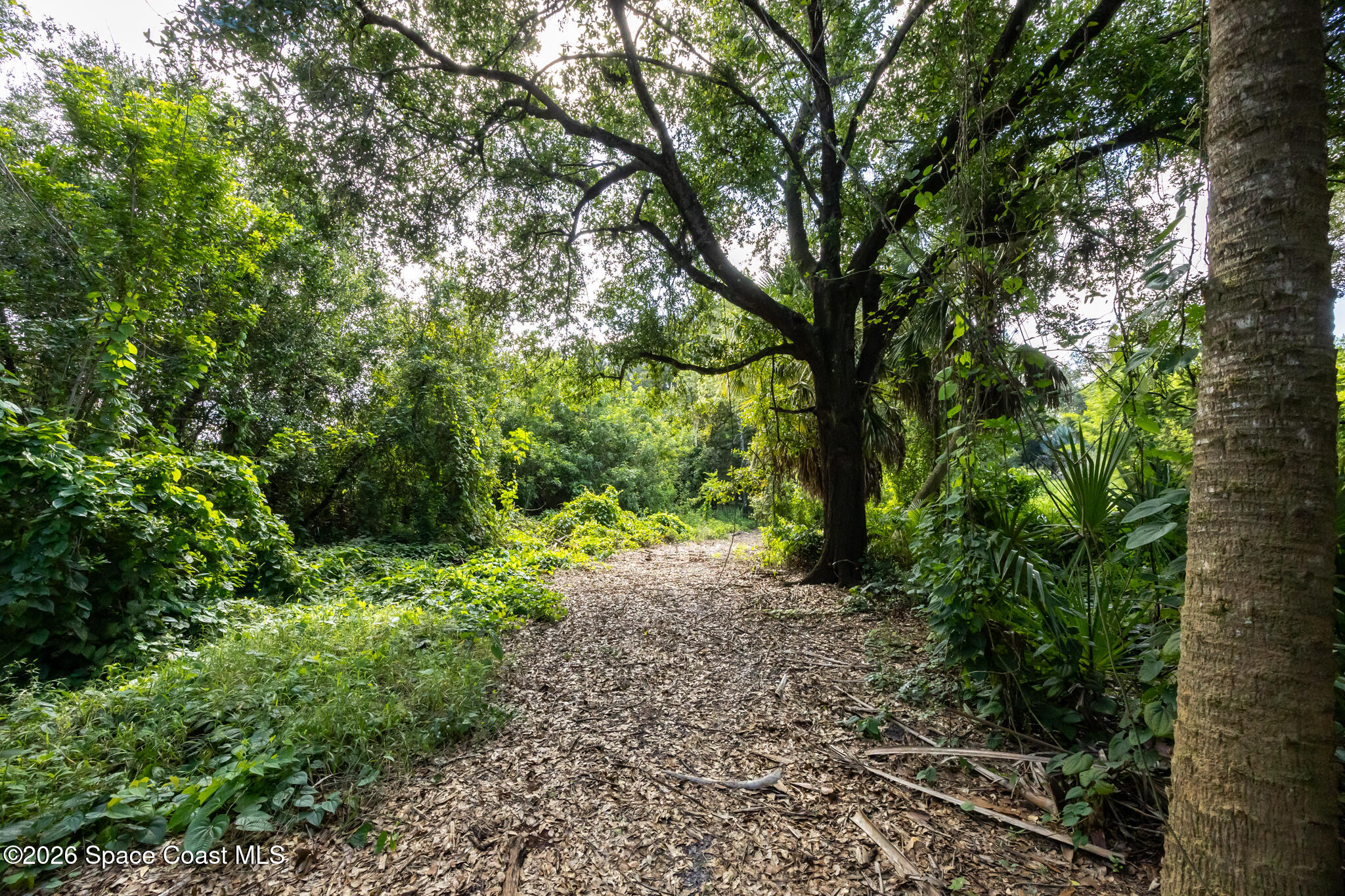 12511 Roseland Road Property Photo 6