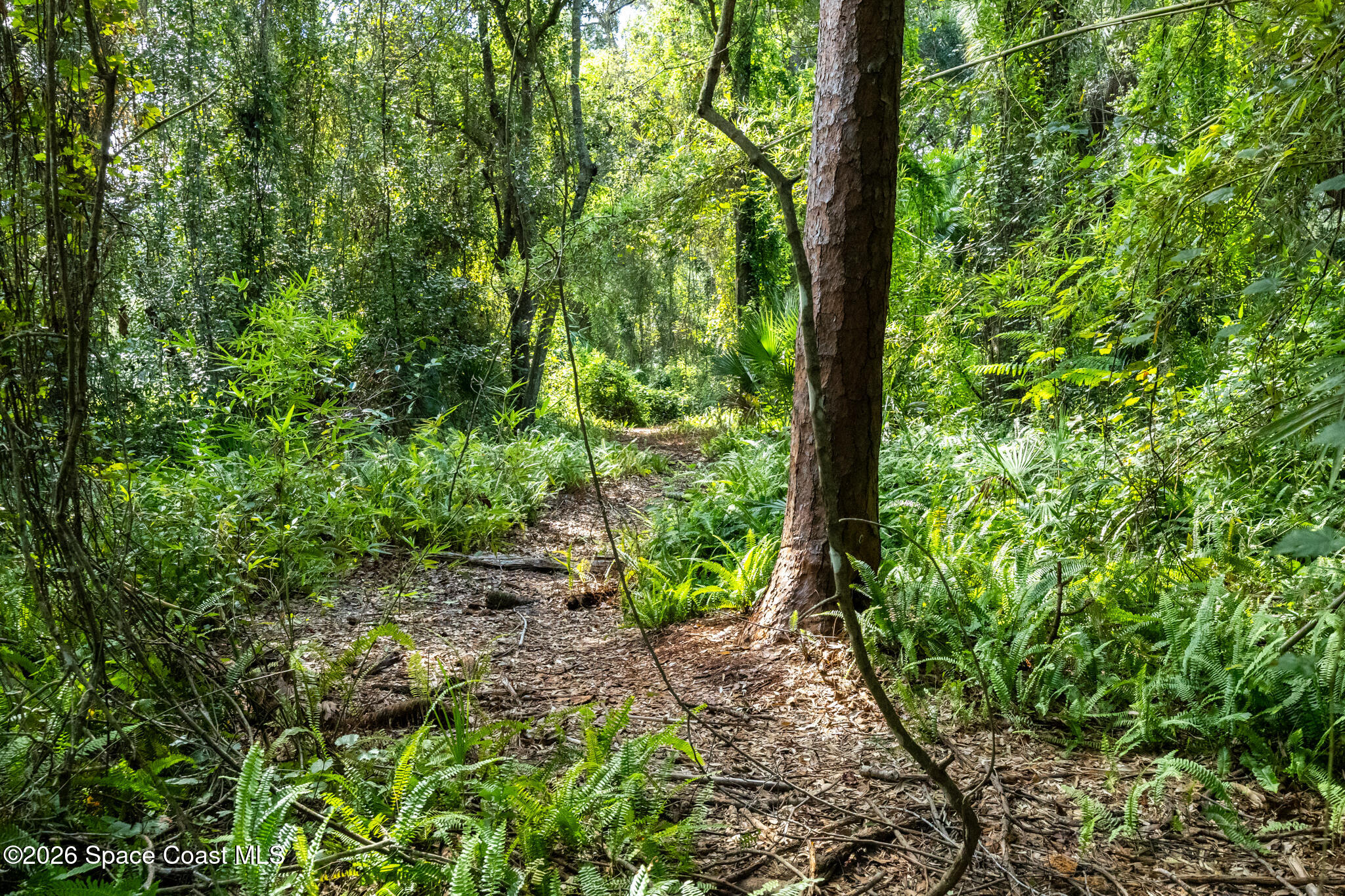 12511 Roseland Road Property Photo 7