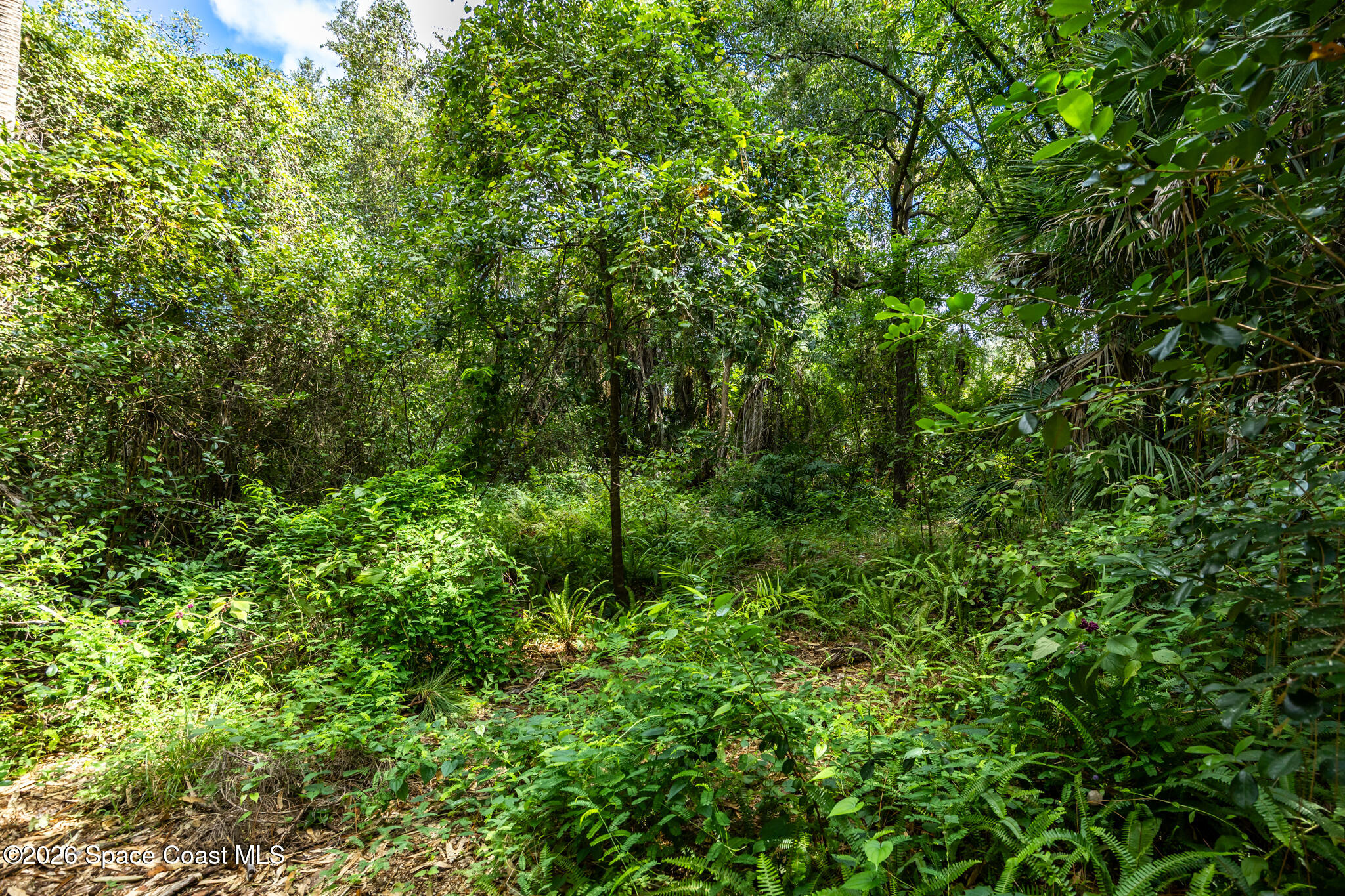 12511 Roseland Road Property Photo 11