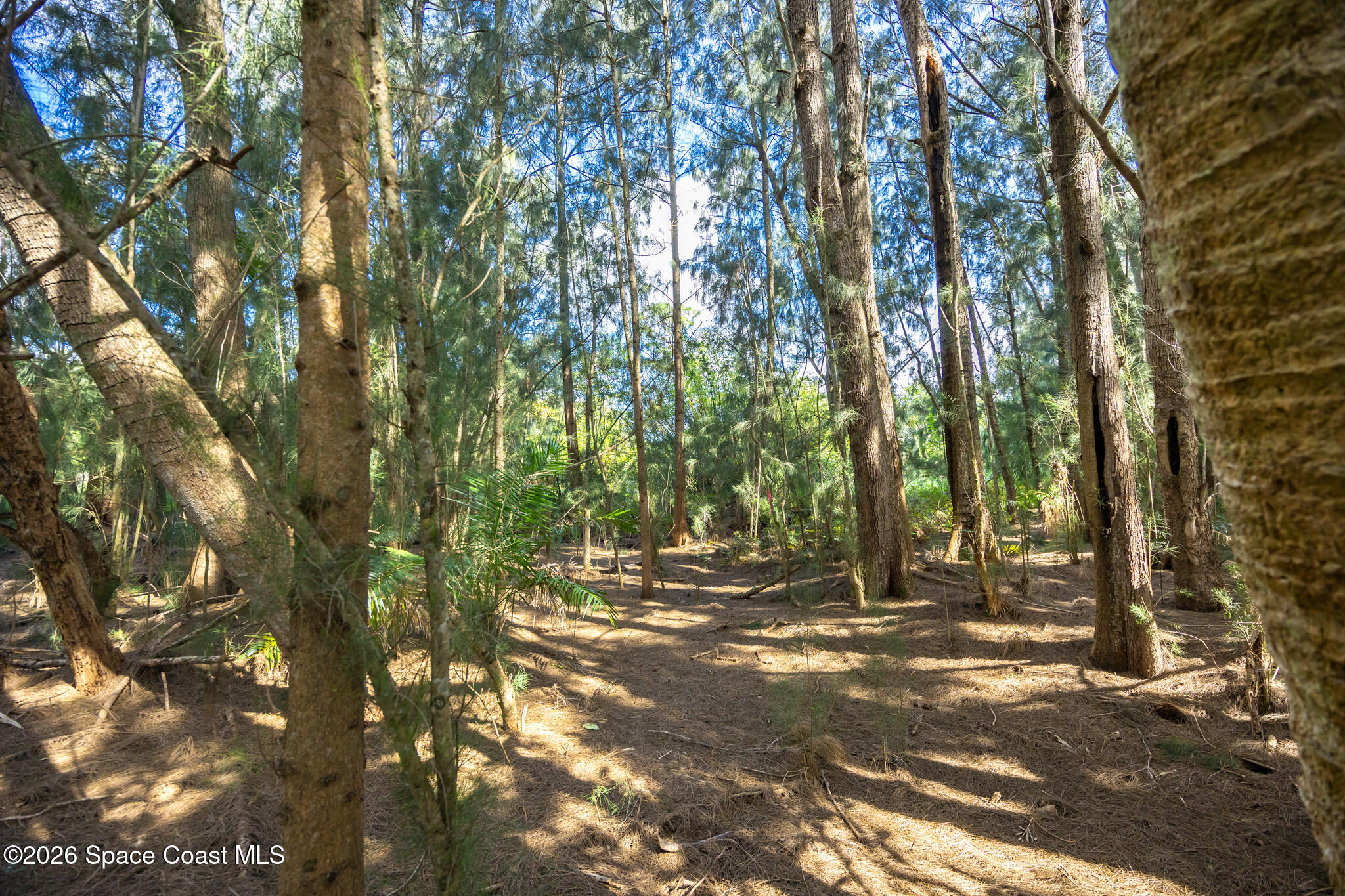 12511 Roseland Road Property Photo 14