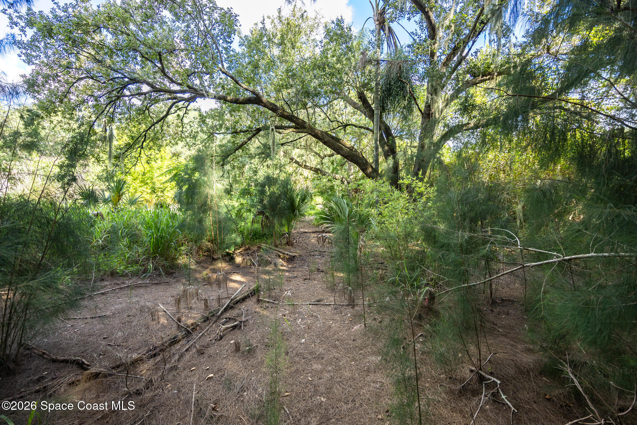 12511 Roseland Road Property Photo 16