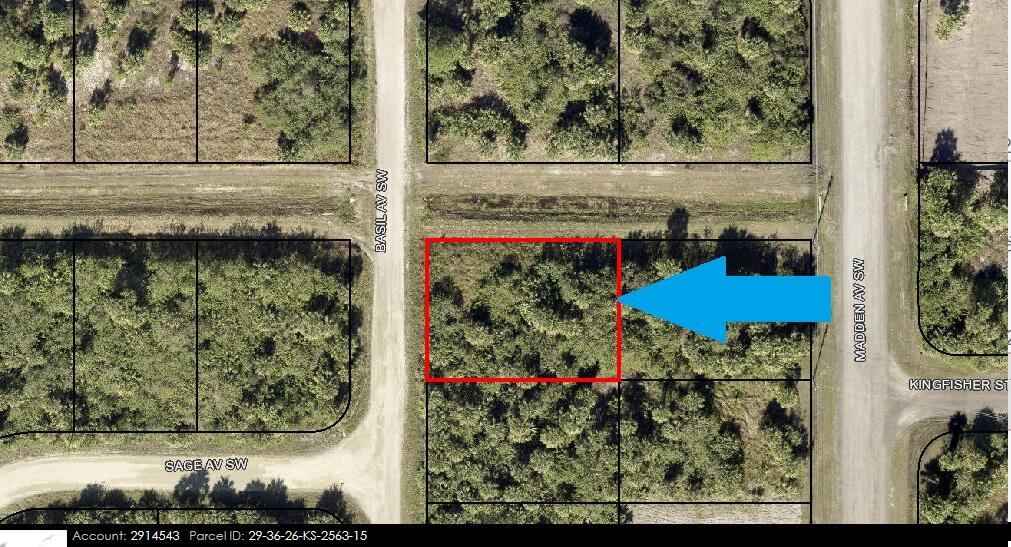 2813 Basil Avenue Sw Property Photo 4