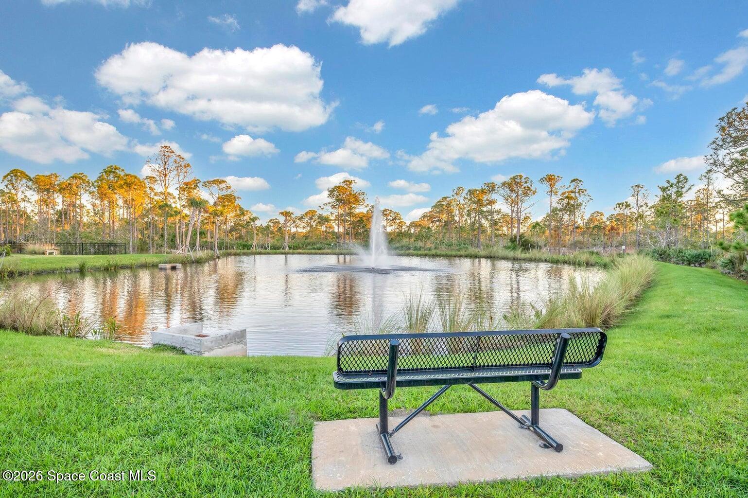267 Osprey Preserve Boulevard Property Photo 19