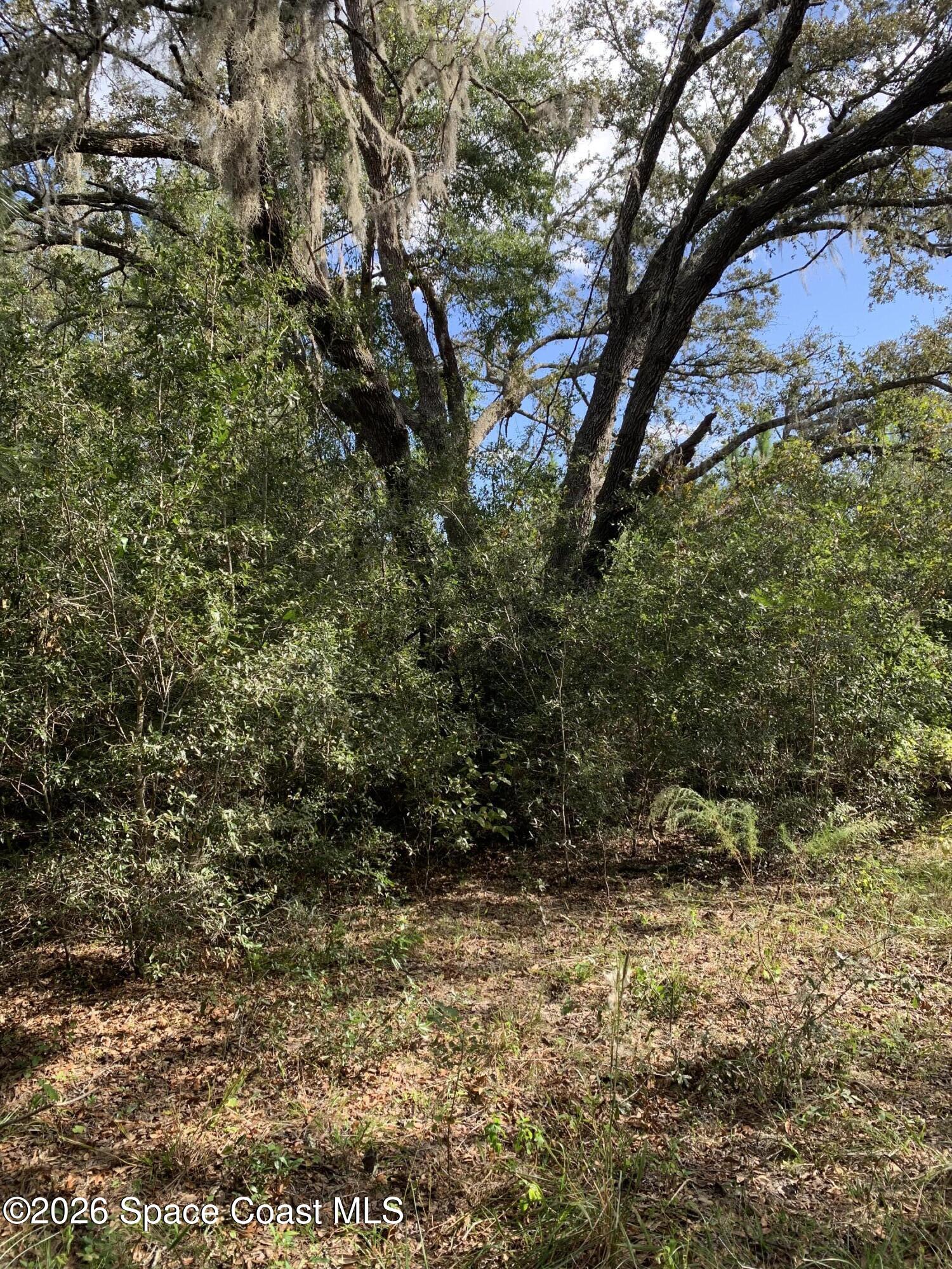 0 Co Rd 337 Property Photo 2