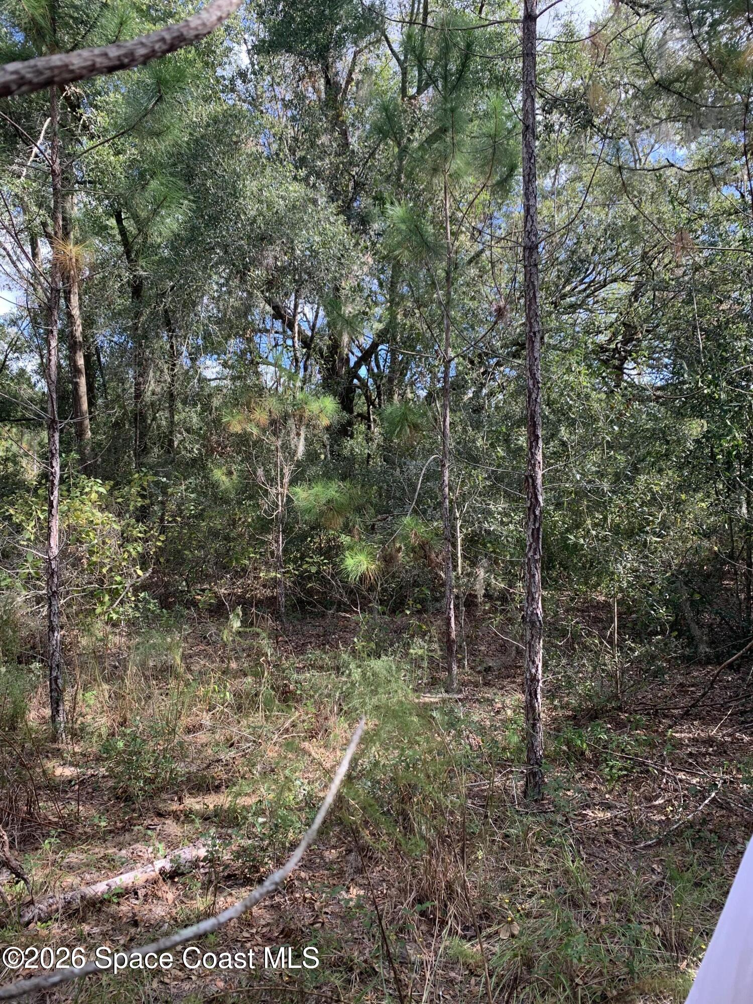 0 Co Rd 337 Property Photo 3