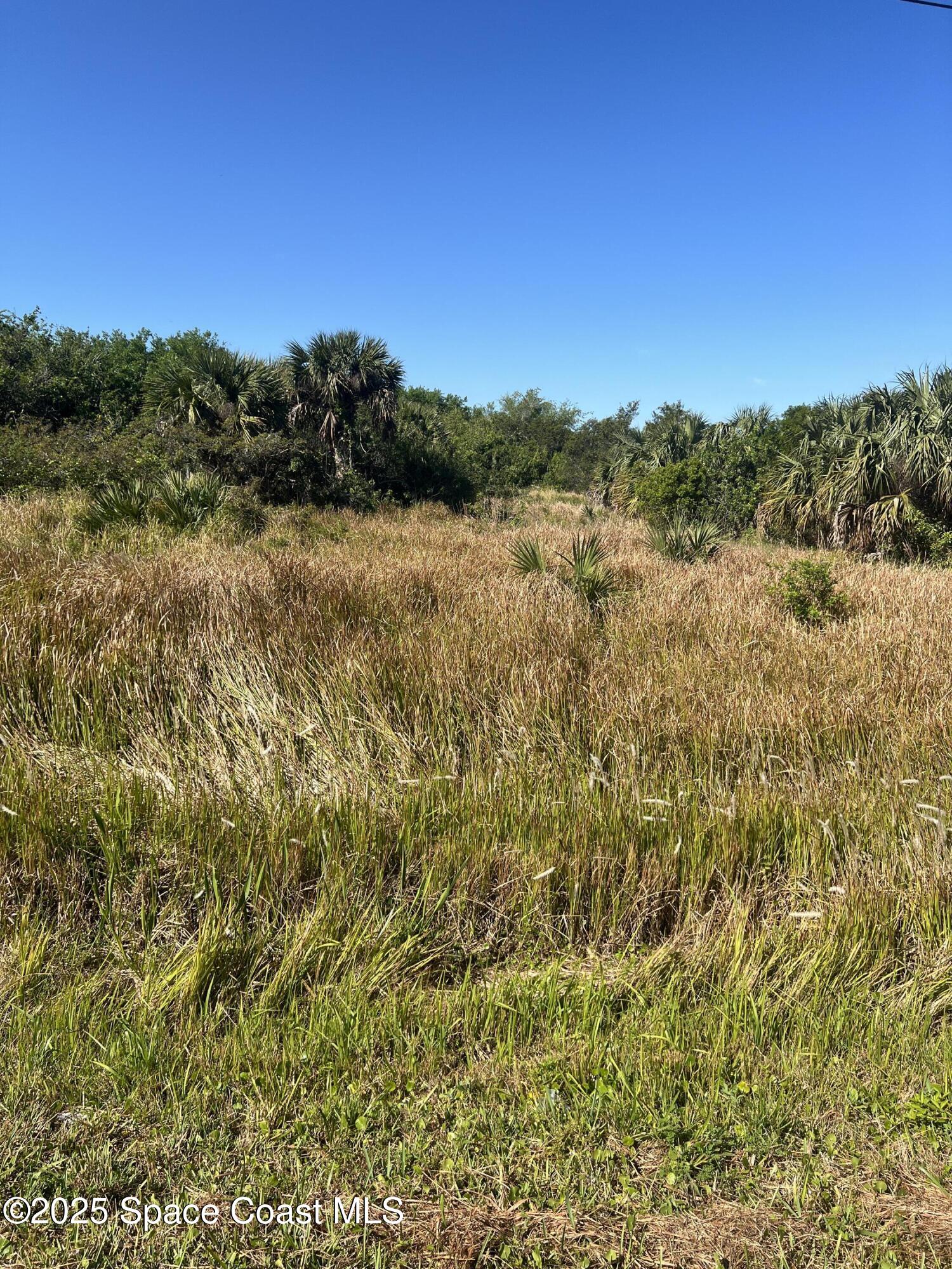 6450 Highway 1 Property Photo 2