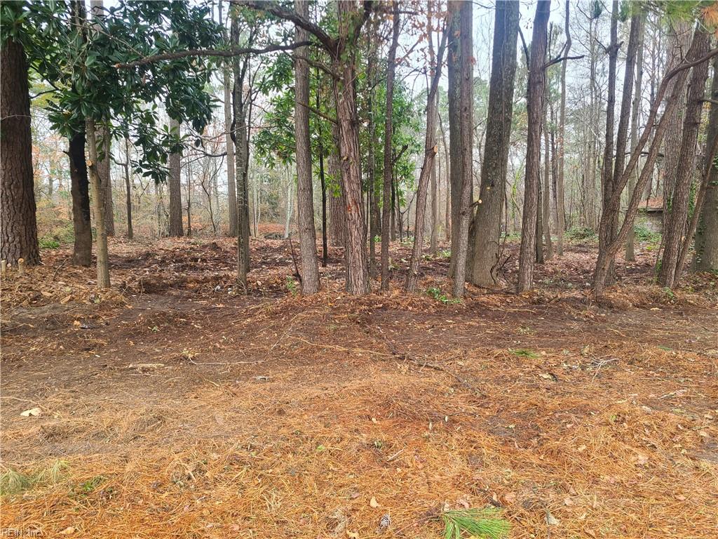 Par B George Washington Hwy S Property Photo 5