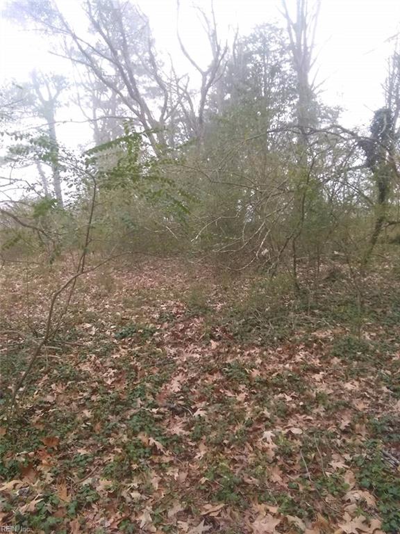 Lot 15 Farm Rd Property Photo 2