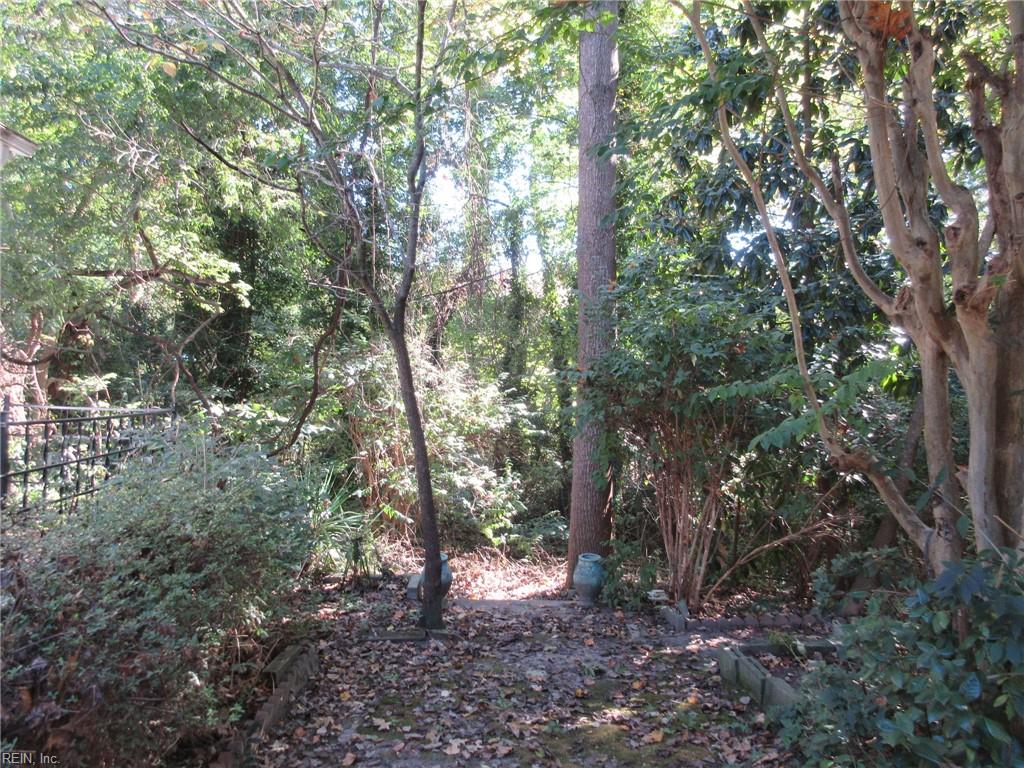 58 Ripley St Property Photo 8