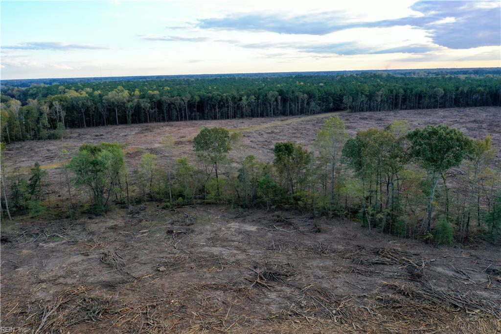 22056 Brewers Neck Blvd Property Photo 17