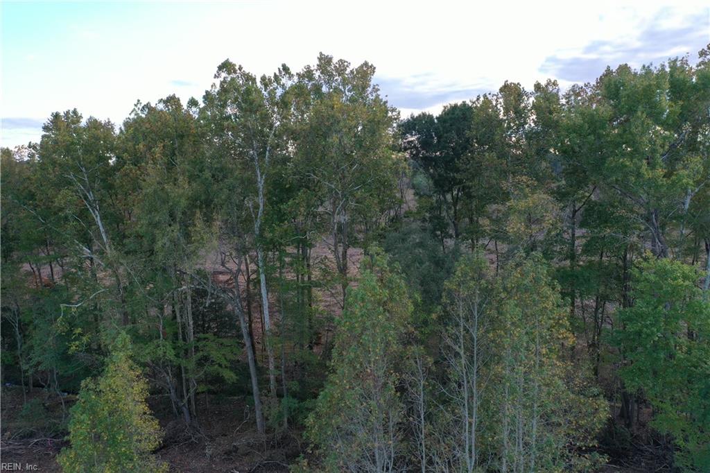 22056 Brewers Neck Blvd Property Photo 22