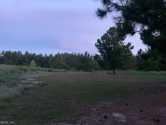 122 Ac Benn's Grant (off Of) Blvd Property Photo 3