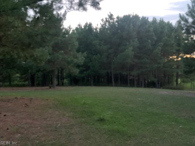 122 Ac Benn's Grant (off Of) Blvd Property Photo 4