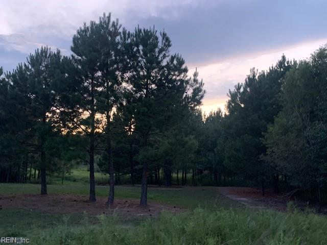122 Ac Benn's Grant (off Of) Blvd Property Photo 5