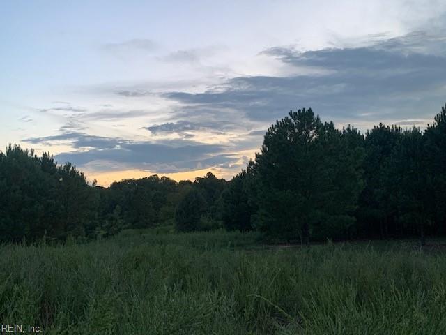 122 Ac Benn's Grant (off Of) Blvd Property Photo 6