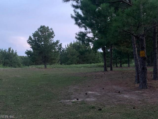 122 Ac Benn's Grant (off Of) Blvd Property Photo 7