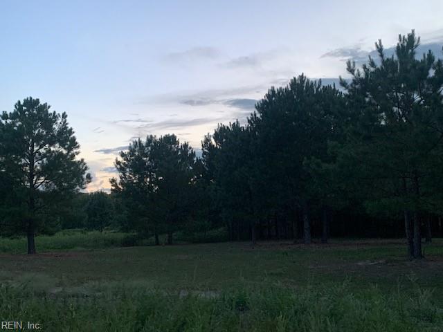 122 Ac Benn's Grant (off Of) Blvd Property Photo 8