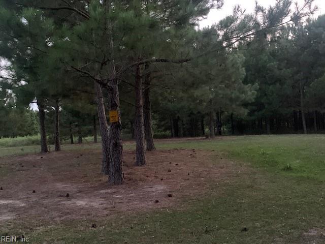 122 Ac Benn's Grant (off Of) Blvd Property Photo 10