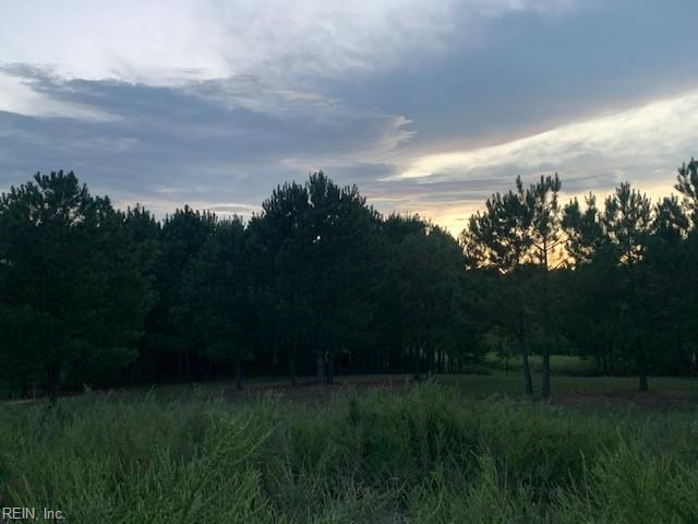 122 Ac Benn's Grant (off Of) Blvd Property Photo 11