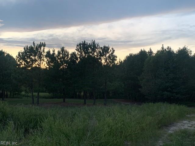 122 Ac Benn's Grant (off Of) Blvd Property Photo 12