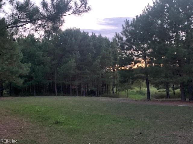 122 Ac Benn's Grant (off Of) Blvd Property Photo 13