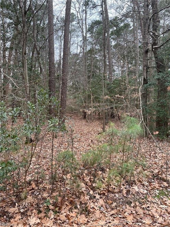 420 Yorkville Rd Property Photo 2