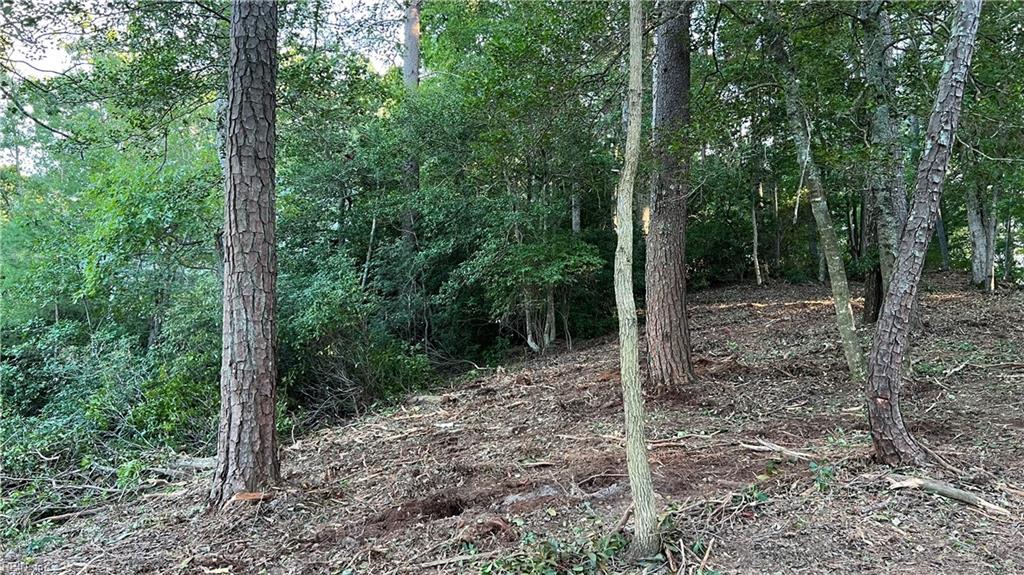 Lot 4 Paddock Dr Property Photo 19