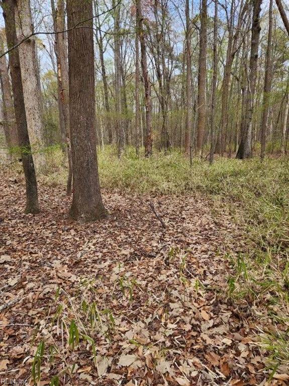 1700 Mayberry Dr Property Photo 14