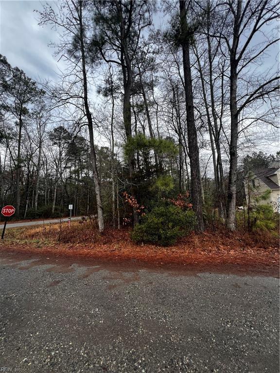 Lot 1 Poplar Dr Property Photo 2