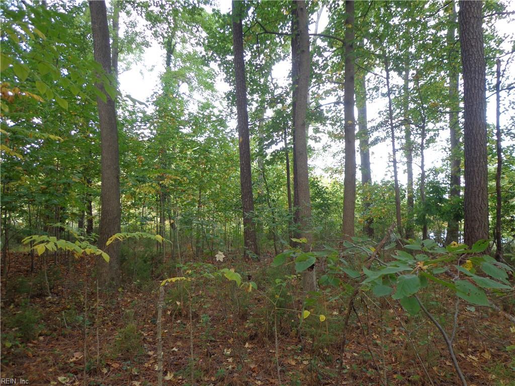3.25ac Morgarts Beach Rd Property Photo 6