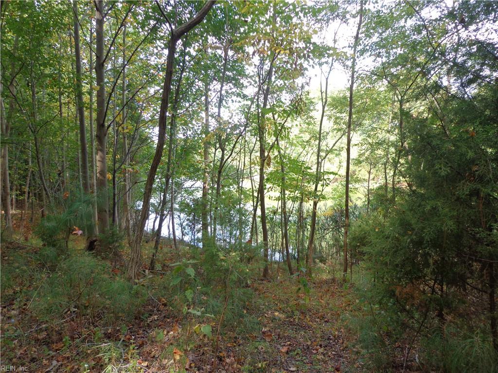2.81ac Morgarts Beach Rd Property Photo 2